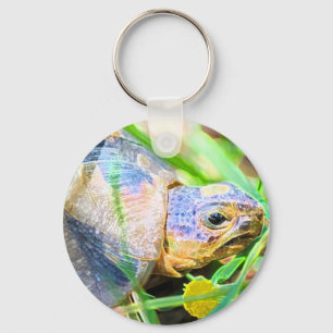 Cute Angulate Tortoise South Africa Details Key Ring