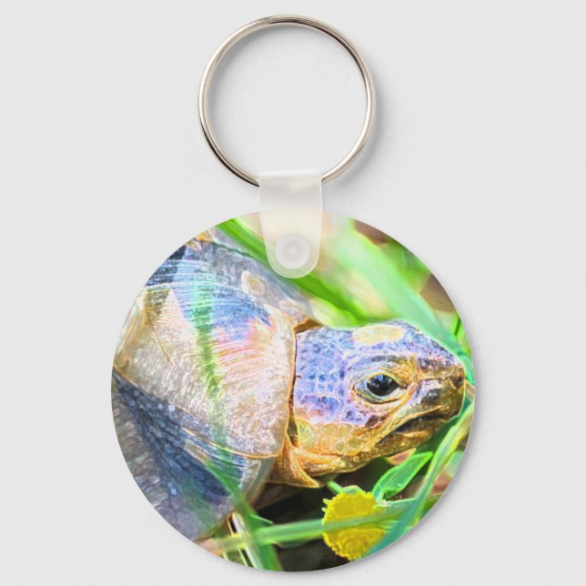 Cute Angulate Tortoise South Africa Details Key Ring (Front)