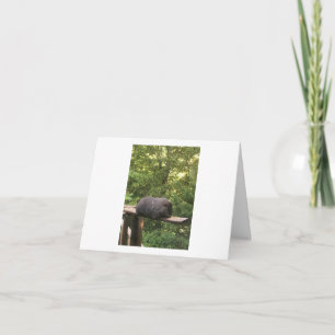 Cute animal card for someone you care about.