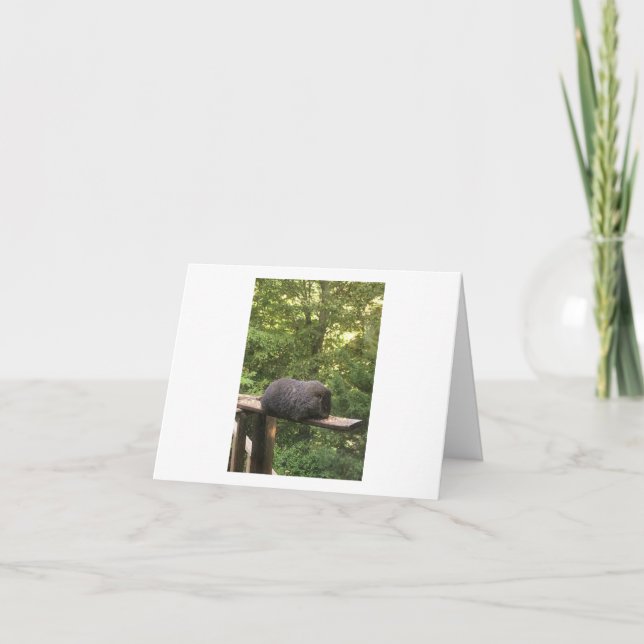 Cute animal card for someone you care about. (Front)