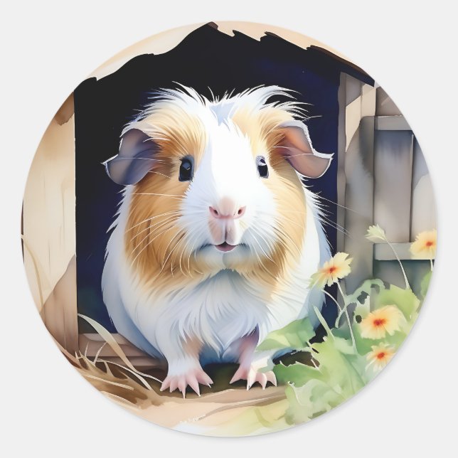 Cute Animal Guinea Pig Watercolor Classic Round Sticker (Front)