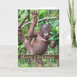 Cute Animal Merry Christmas Orangutan Baby Holiday Card