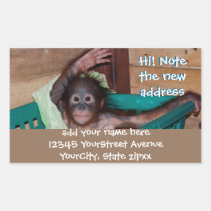 Cute Animal New Address Labels