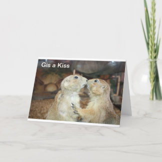 cute animal photos card