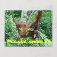 Cute Animal Swingers Party Invitation