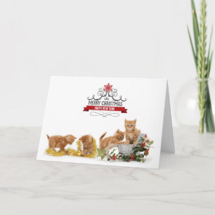 Cute animals cats Christmas card
