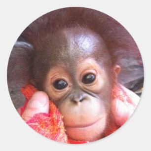 Cute Animals Classic Round Sticker