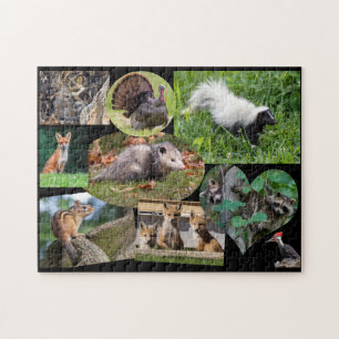 Cute Animals For Kids Jigsaw Puzzle