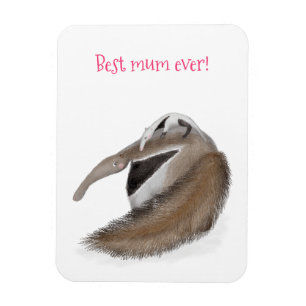 Cute anteater and baby 'best mum ever' magnet