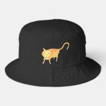 Cute Apathetic Orange Cat