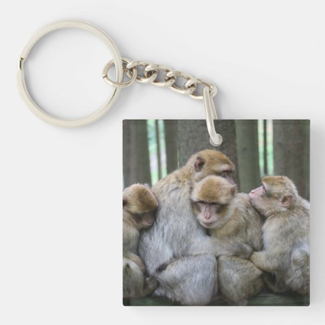Cute Ape Family Group Hug Photograph Key Ring (Front)