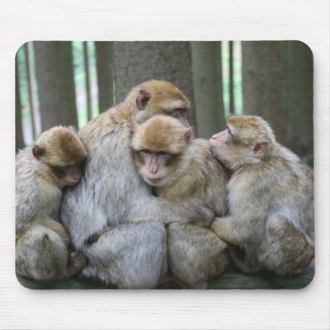 Cute Ape Family Group Hug Photograph Mouse Mat (Front)