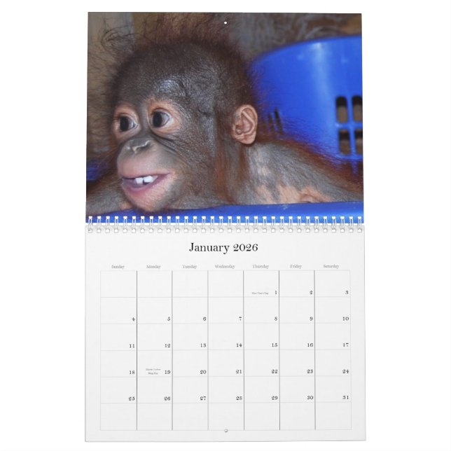 Cute Apes Wildlife Babies Calendar (Jan 2026)
