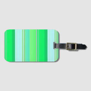 Cute aqua green stripes luggage tag