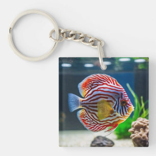 Cute Aquarium Fish Tank Key Ring