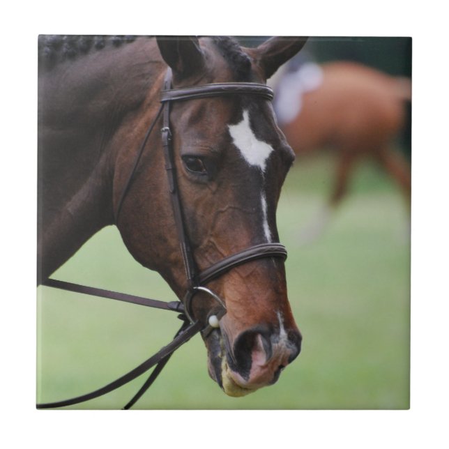 Cute Arabian Horse Tile (Front)