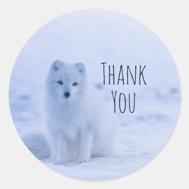 Cute Arctic Fox on Snow Thank You Classic Round Sticker (Front)