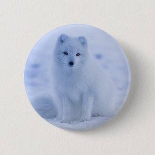 Cute Arctic Fox on Snowy Winter Background 6 Cm Round Badge