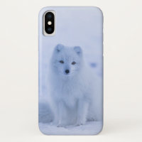 Cute Arctic Fox on Snowy Winter Background