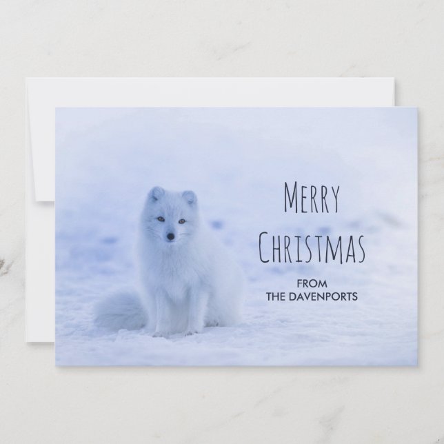 Cute Arctic Fox on Snowy Winter Background Holiday Card (Front)
