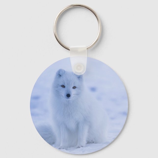 Cute Arctic Fox on Snowy Winter Background Key Ring (Front)