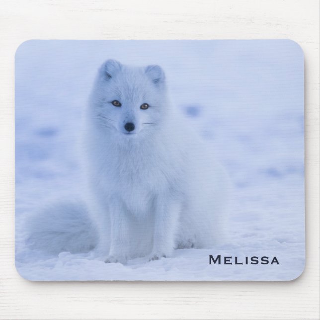 Cute Arctic Fox on Snowy Winter Background Mouse Mat (Front)