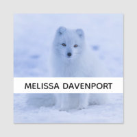 Cute Arctic Fox on Snowy Winter Background