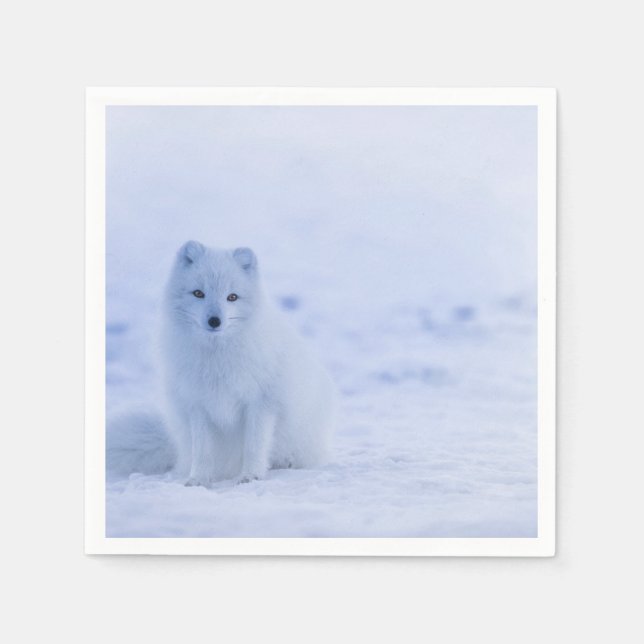 Cute Arctic Fox on Snowy Winter Background Napkin (Front)