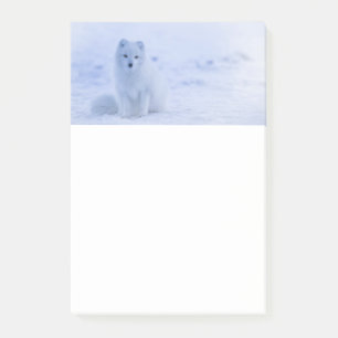 Cute Arctic Fox on Snowy Winter Background Post-it Notes