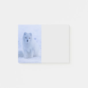 Cute Arctic Fox on Snowy Winter Background Post-it Notes