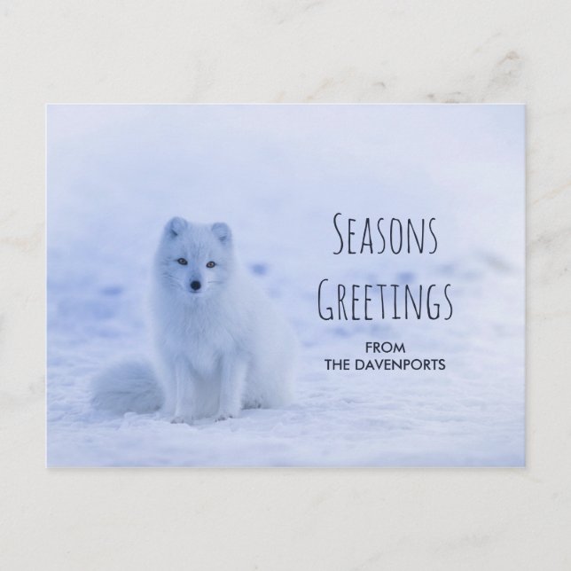Cute Arctic Fox on Snowy Winter Background Postcard (Front)