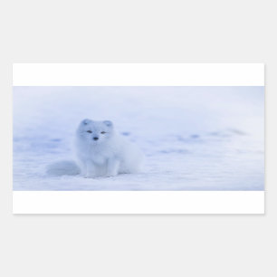Cute Arctic Fox on Snowy Winter Background Rectangular Sticker
