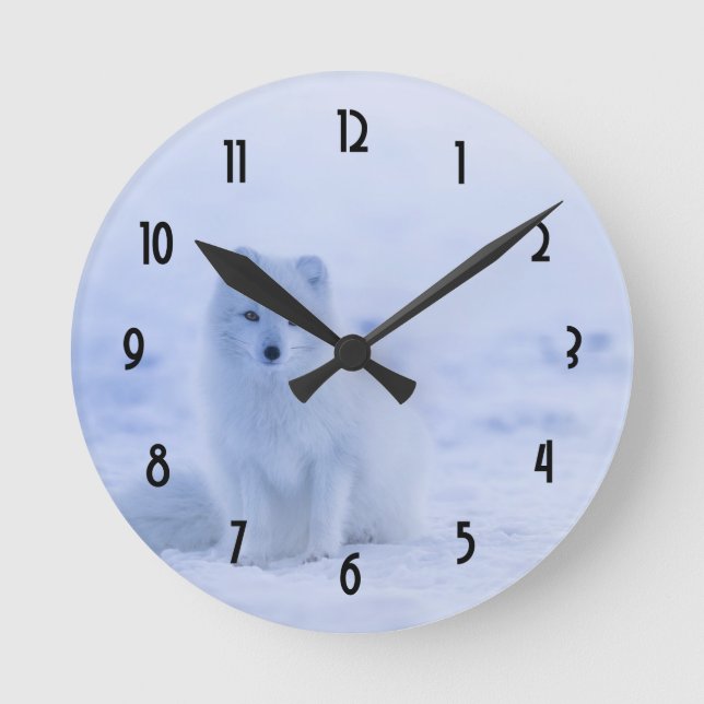 Cute Arctic Fox on Snowy Winter Background Round Clock (Front)