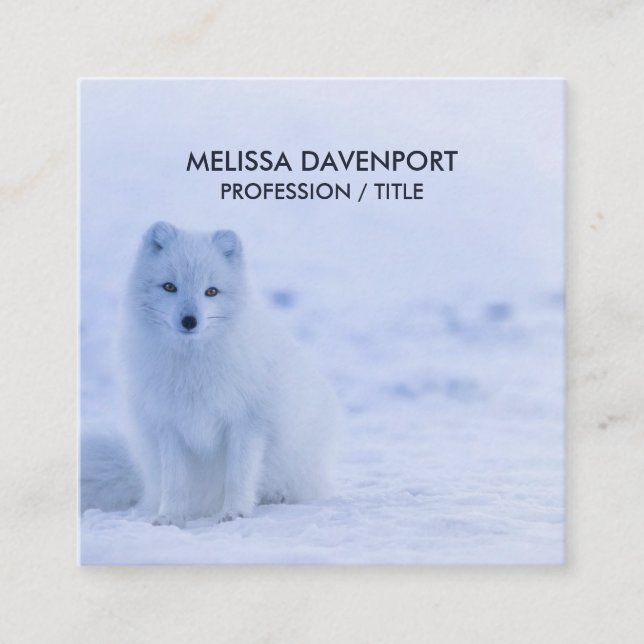Cute Arctic Fox on Snowy Winter Background Square Business Card (Front)