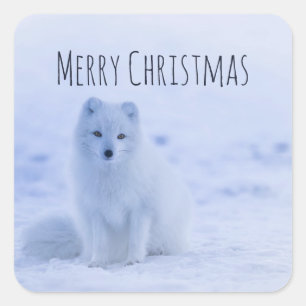 Cute Arctic Fox on Snowy Winter Background Square Sticker