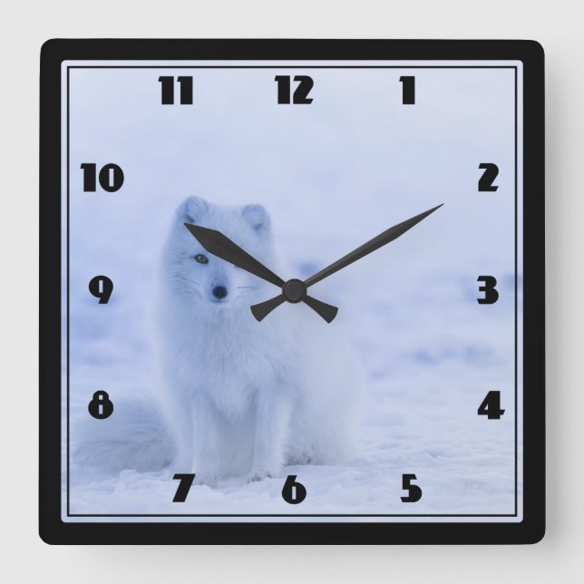 Cute Arctic Fox on Snowy Winter Background Square Wall Clock (Front)