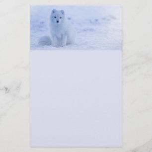 Cute Arctic Fox on Snowy Winter Background Stationery