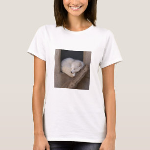 Cute Arctic Fox Sleeping T-Shirt