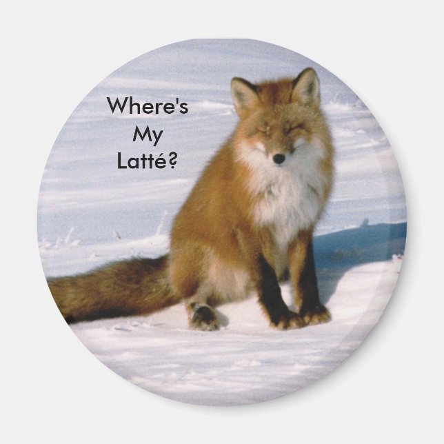 Cute Arctic Red Fox Latte Fridge Magnet (Front)
