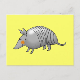 Cute armadillo postcard