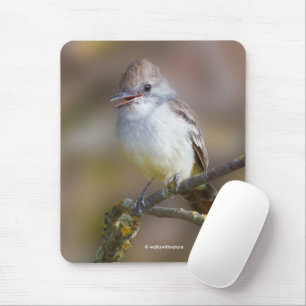Cute Ash-Throated Flycatcher Songbird on Branch Mouse Mat