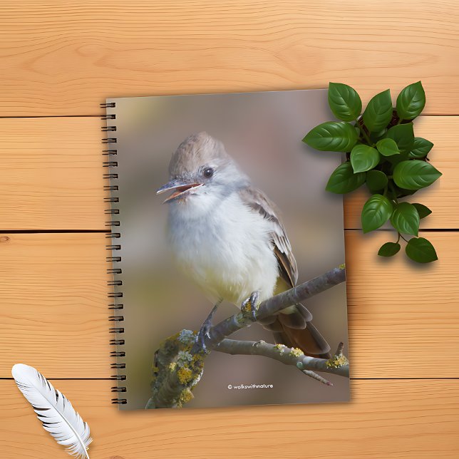 Cute Ash-Throated Flycatcher Songbird on Branch Notebook (WWN Ash-Throated Flycatcher on Branch Notebook Cover Photo)