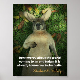 Cute Australia Kangaroo Poster