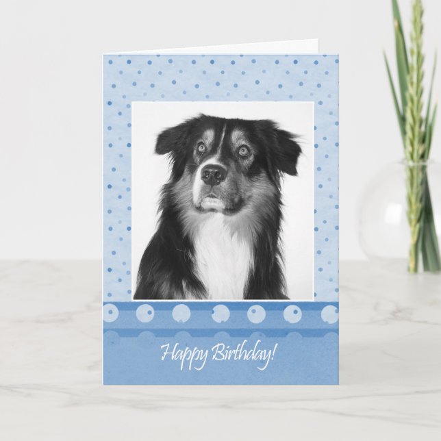 Cute Australian Shepherd Dog Happy Birthday Card (Front)