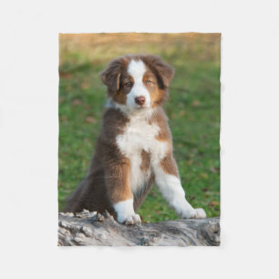 Cute Australian Shepherd Puppy, comfy Fleece Blanket