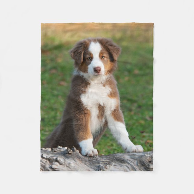 Cute Australian Shepherd Puppy, comfy Fleece Blanket (Front)