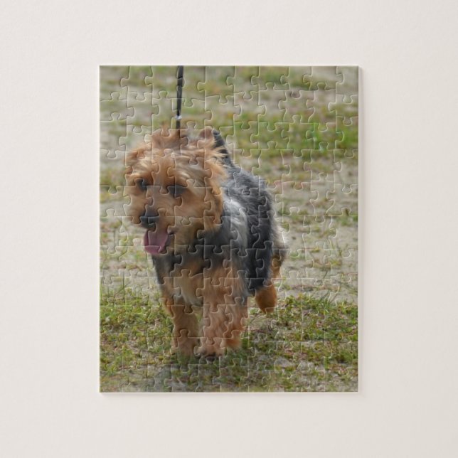 Cute Australian Terrier Jigsaw Puzzle (Vertical)