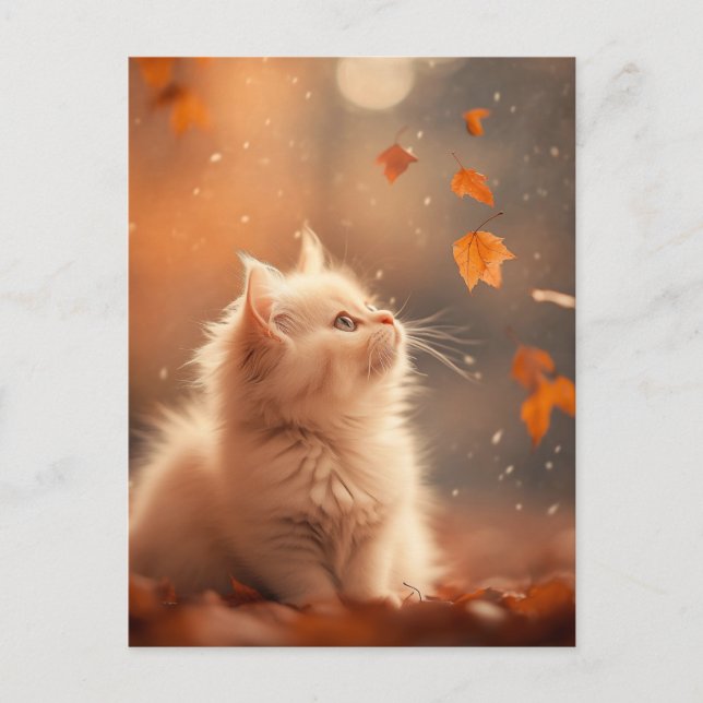 Cute Autumn Kitten Postcard (Front)