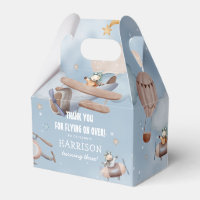 Cute Aviation Aeroplane Boy Birthday Party