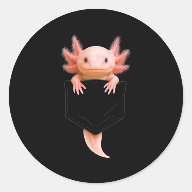 Cute Axolotl Cket Funny For Men Women Teen Kid Lon Classic Round Sticker (Front)